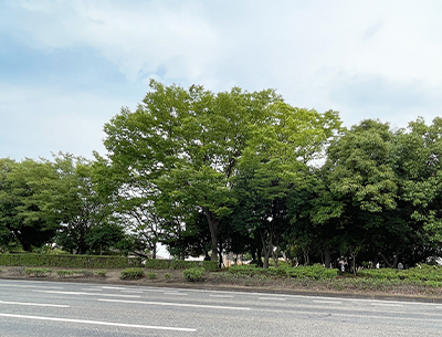 水島緑地福田公園
