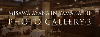 MISAWA AYANA IN YAMANASHI PHOTO GALLERY 2
