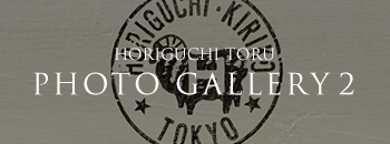 HORIGUCHI TORU PHOTO GALLERY 2
