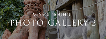 MIYAGI NOUHOU PHOTO GALLERY 2
