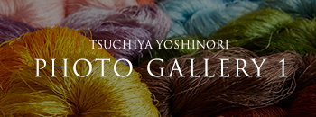 TSUCHIYA YOSHINORI PHOTO GALLERY 1