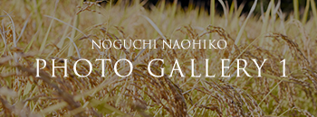 NOGUCHI NAOHIKO PHOTO GALLERY 1