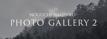 NOGUCHI NAOHIKO PHOTO GALLERY 2