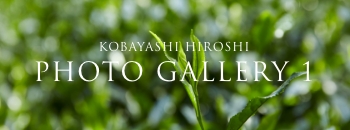 KOBAYASHI HIROSHI PHOTO GALLERY 1