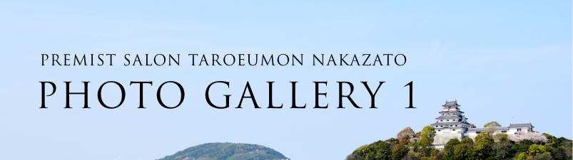 PLATINUM SALON TAROEUMON NAKAZATO PHOTO GALLERY 1