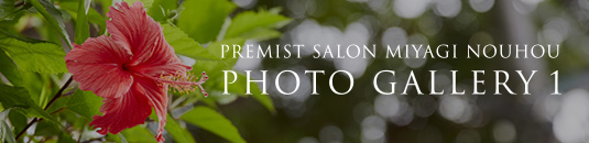 PREMIST SALON MIYAGI NOUHOU PHOTO GALLERY 1