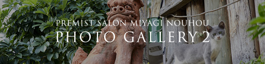 PREMIST SALON MIYAGI NOUHOU PHOTO GALLERY 2