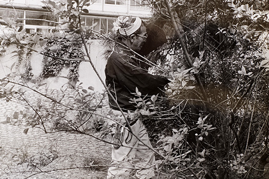 1957年、パリのユネスコ本部で、彫刻家イサム・ノグチ設計の日本庭園の仕事をしていた時に撮影された、若き日の佐野藤右衛門氏。