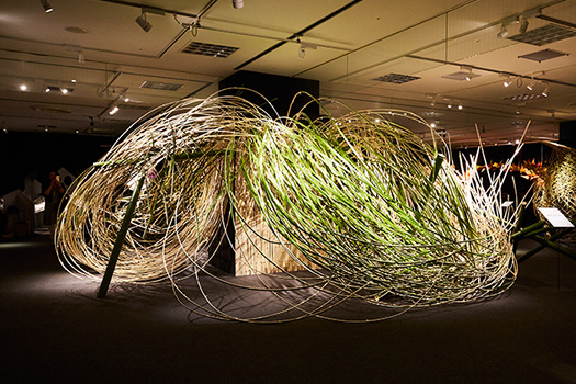 今回の展覧会では、1本の竹を16本に割った竹を使用し、ダイナミックな動きのある作品をつくりあげた。しなやかさと強さをあわせもつ竹は、過去の展覧会でもよく使ってきた、お気に入りの素材である。