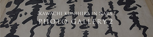 KAWACHI KUNIHIRA IN NARA PHOTO GALLERY 2