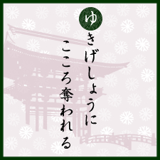 ゆきげしょうにこころ奪われる：上賀茂神社：京都くらしの風景×水野克比古 NO.2