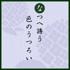 なつへ誘う色のうつろい：祇園白川の紫陽花：京都くらしの風景×水野克比古 NO.4