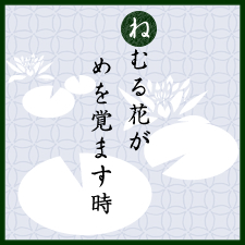 ねむる花がめを覚ます時：睡蓮：京都くらしの風景×水野克比古 NO.3