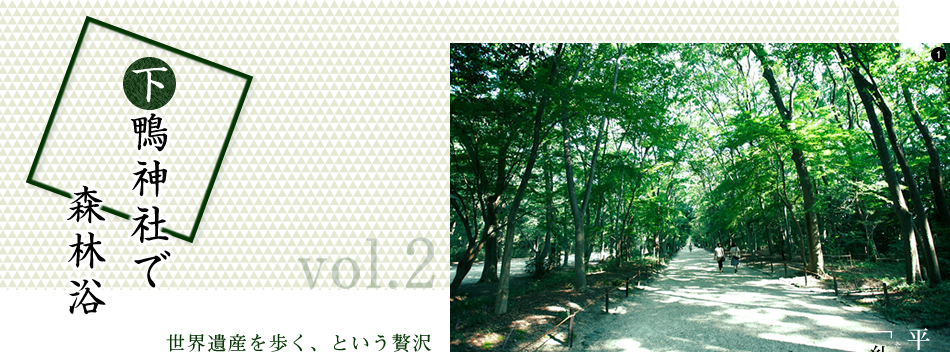 vol.2　下鴨神社で森林浴