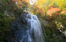 秋の不動滝