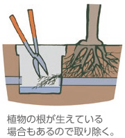 植物の根が生えている場合もあるので取り除く。