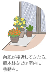 台風が接近してきたら、植木鉢などは室内に移動を。